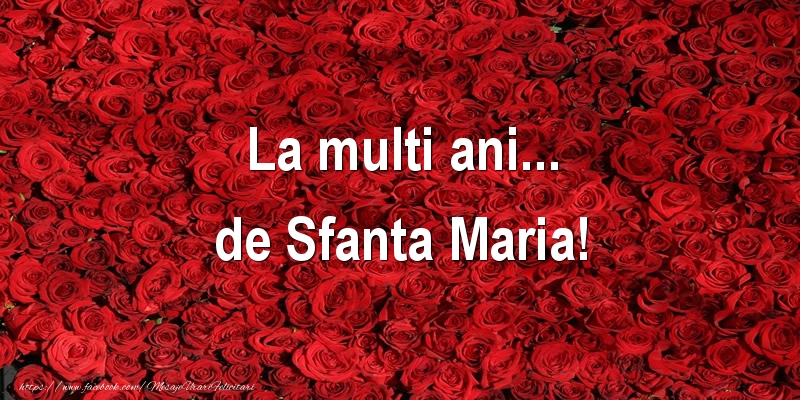 La multi ani... de Sfanta Maria!