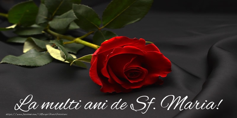 La multi ani de Sf. Maria!