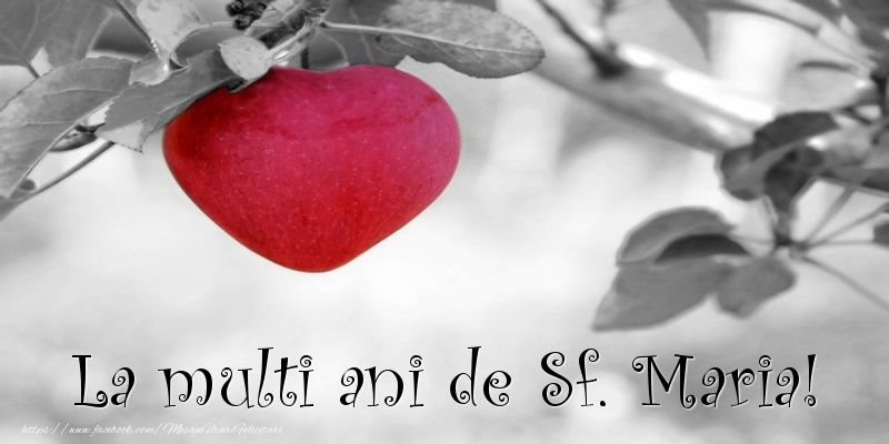 La multi ani de Sf. Maria!
