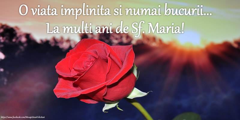 Felicitari de Sfanta Maria cu trandafiri - O viata implinita si numai bucurii... La multi ani de Sf. Maria!