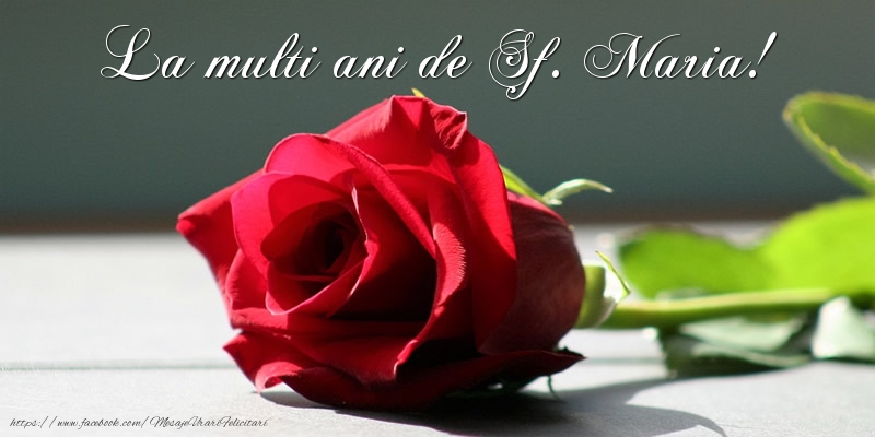 Felicitari de Sfanta Maria cu trandafiri - La multi ani de Sf. Maria!