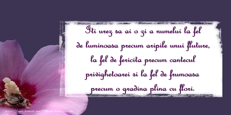 Iti urez sa ai o zi a numelui la fel de luminoasa precum aripile unui fluture, la fel de fericita precum cantecul privighetoarei si la fel de frumoasa precum o gradina plina cu flori.