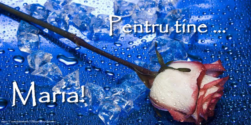 Pentru tine ... Maria!