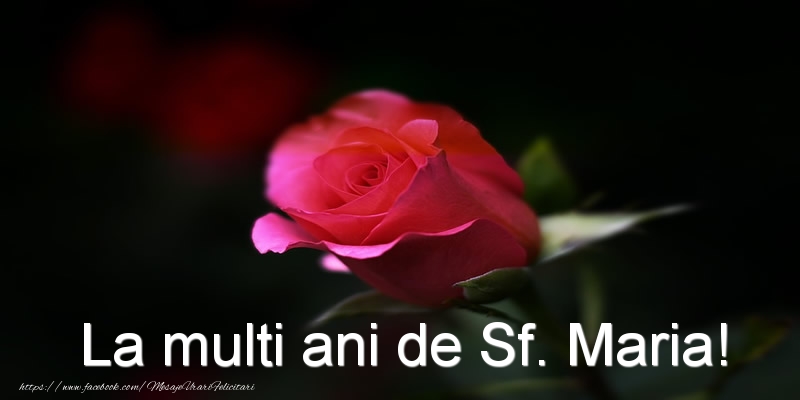 Felicitari de Sfanta Maria - La multi ani de Sf. Maria! - mesajeurarifelicitari.com