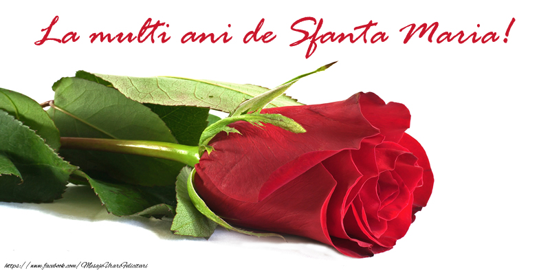 Felicitari de Sfanta Maria cu trandafiri - La multi ani de Sfanta Maria!