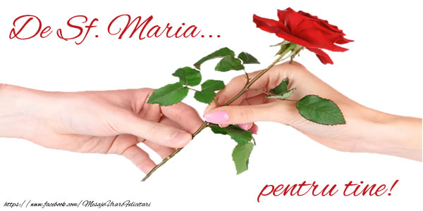 Felicitari de Sfanta Maria cu trandafiri - De Sf. Maria... pentru tine!