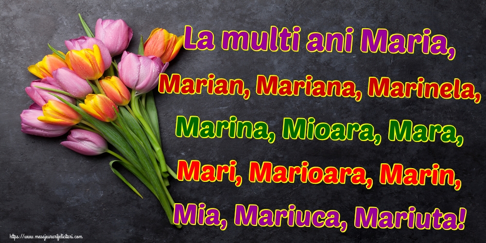 La multi ani Maria, Marian, Mariana, Marinela, Marina, Mioara, Mara, Mari, Marioara, Marin, Mia, Mariuca, Mariuta!