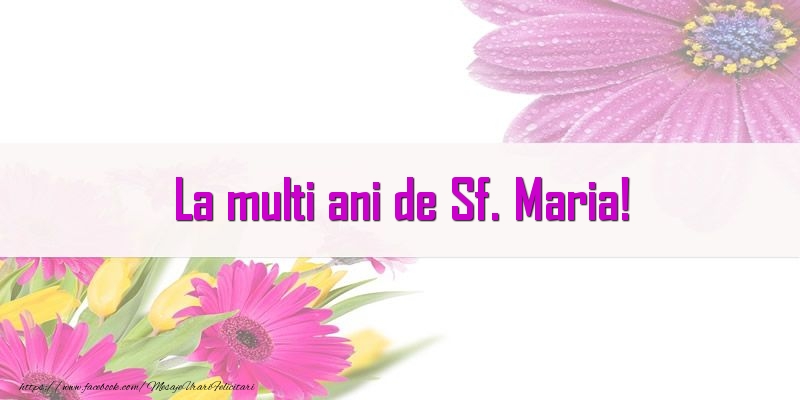 La multi ani de Sf. Maria!