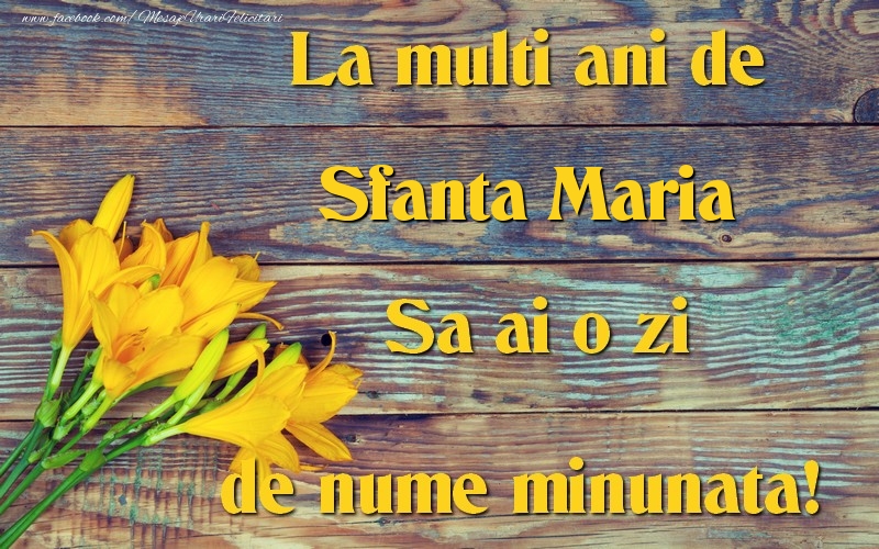 Felicitari de Sfanta Maria - Sfanta Maria - mesajeurarifelicitari.com