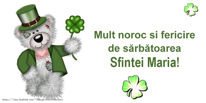 Mult noroc si fericire de sarbatoarea Sfintei Maria!