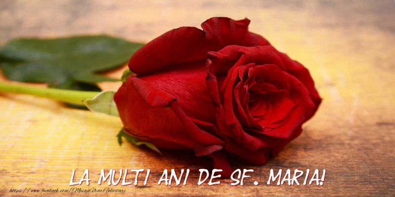 Felicitari de Sfanta Maria cu flori - La multi ani de Sf. Maria!