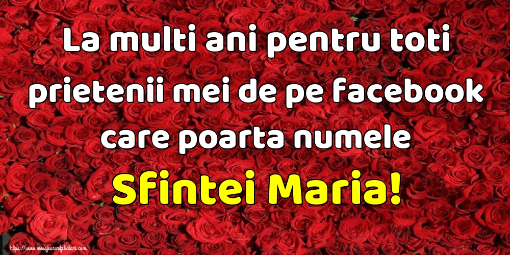 La multi ani pentru toti prietenii mei de pe facebook care poarta numele Sfintei Maria!