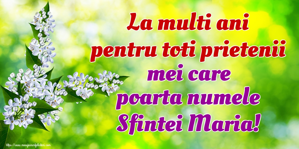 La multi ani pentru toti prietenii mei care poarta numele Sfintei Maria!