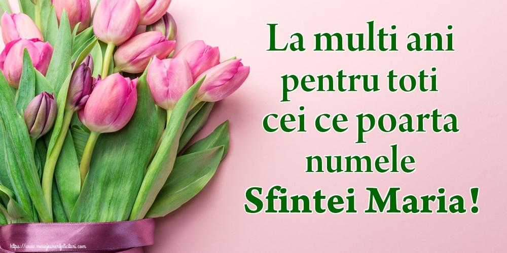 La multi ani pentru toti cei ce poarta numele Sfintei Maria!