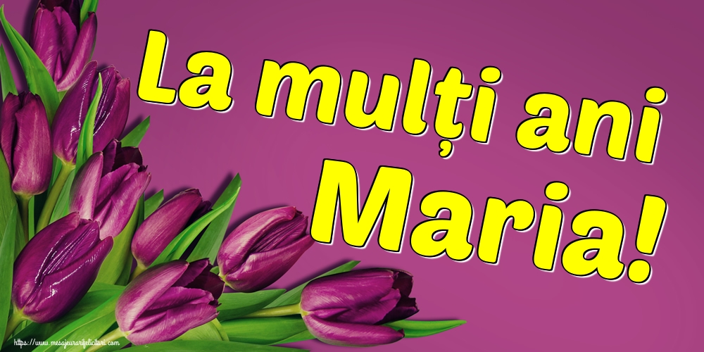 Descarca felicitarea - Felicitari de Sfanta Maria Mica - La mulți ani Maria! - mesajeurarifelicitari.com