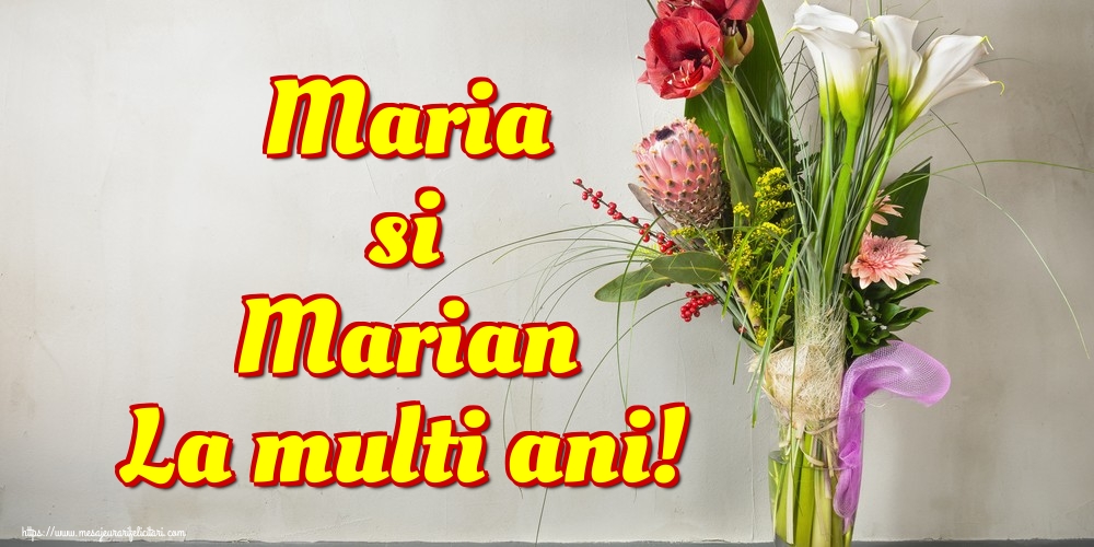 Felicitari de Sfanta Maria Mica - Maria si Marian La multi ani! - mesajeurarifelicitari.com