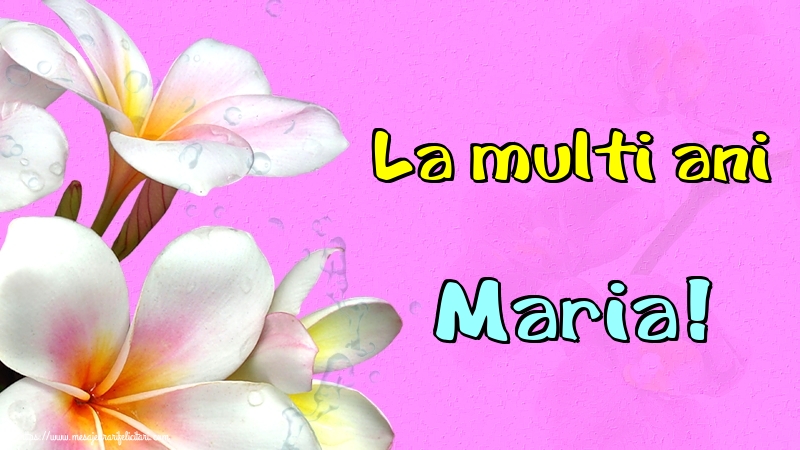 Felicitari de Sfanta Maria Mica - La multi ani Maria! - mesajeurarifelicitari.com