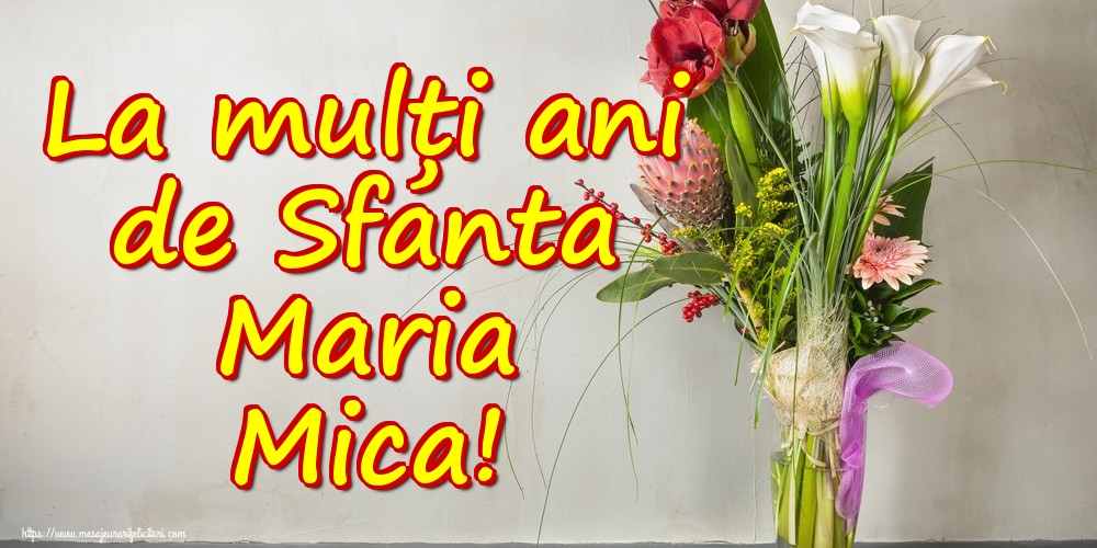 La mulți ani de Sfanta Maria Mica!