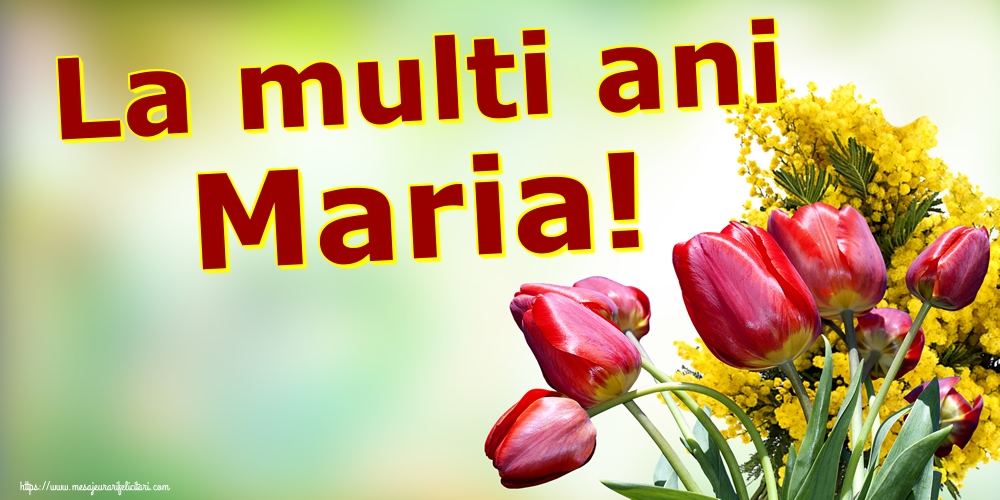 La multi ani Maria!