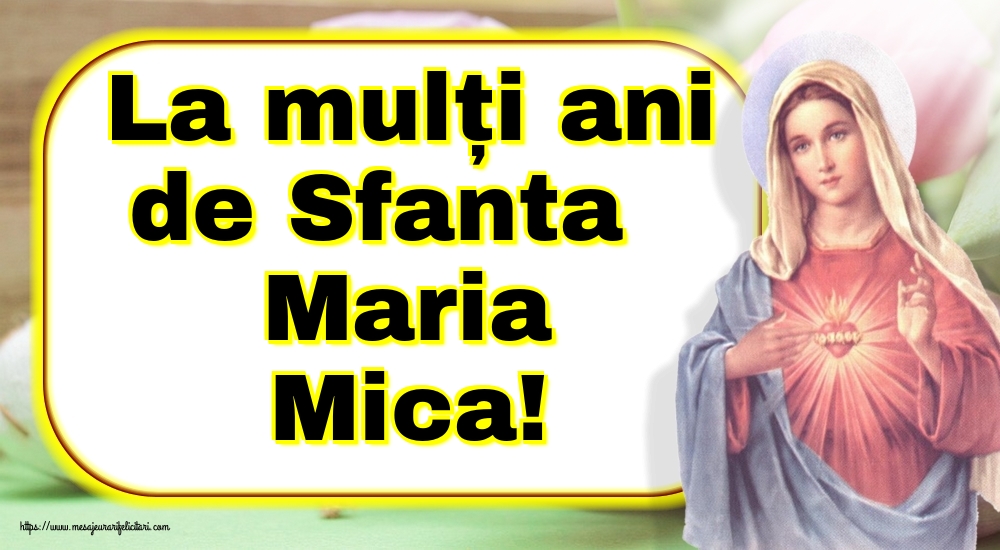 La mulți ani de Sfanta Maria Mica!