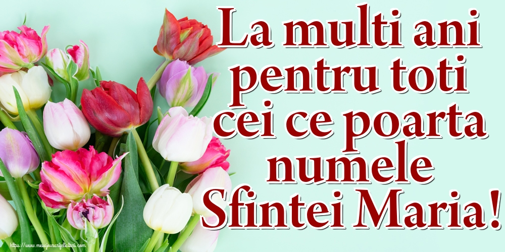 La multi ani pentru toti cei ce poarta numele Sfintei Maria!