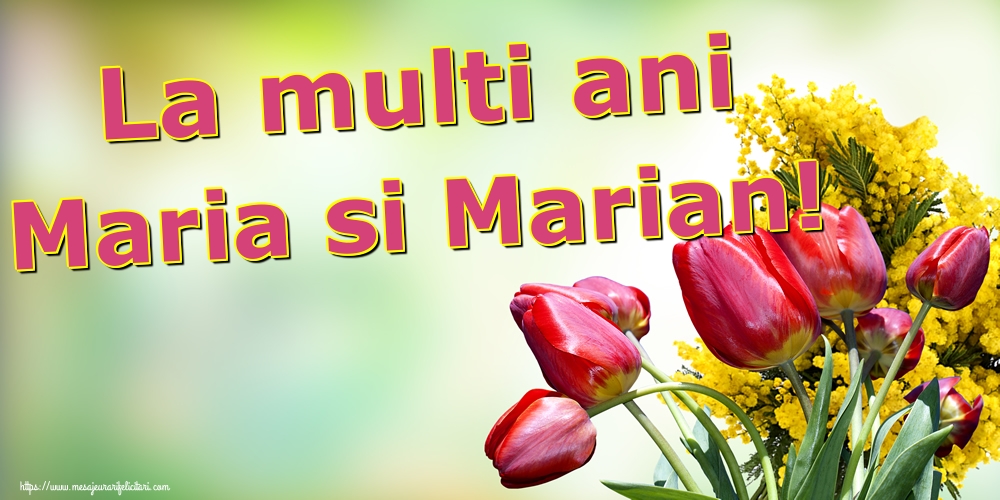Felicitari de Sfanta Maria Mica - La multi ani Maria si Marian!