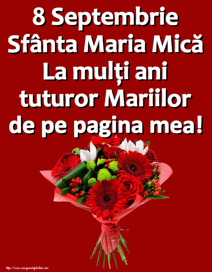 8 Septembrie Sfânta Maria Mică La mulți ani tuturor Mariilor de pe pagina mea! ~ buchet cu gerbere