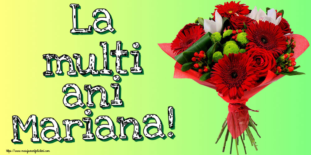 Felicitari de Sfanta Maria Mica - 🌼🥳 La multi ani Mariana! ~ buchet cu gerbere - mesajeurarifelicitari.com