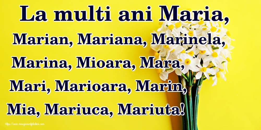 La multi ani Maria, Marian, Mariana, Marinela, Marina, Mioara, Mara, Mari, Marioara, Marin, Mia, Mariuca, Mariuta!