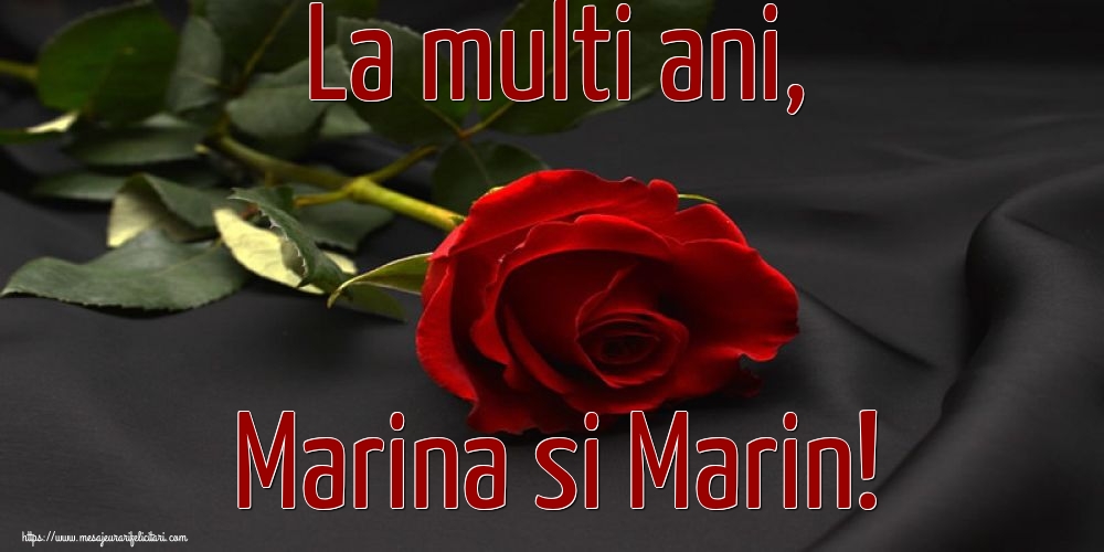 La multi ani, Marina si Marin!