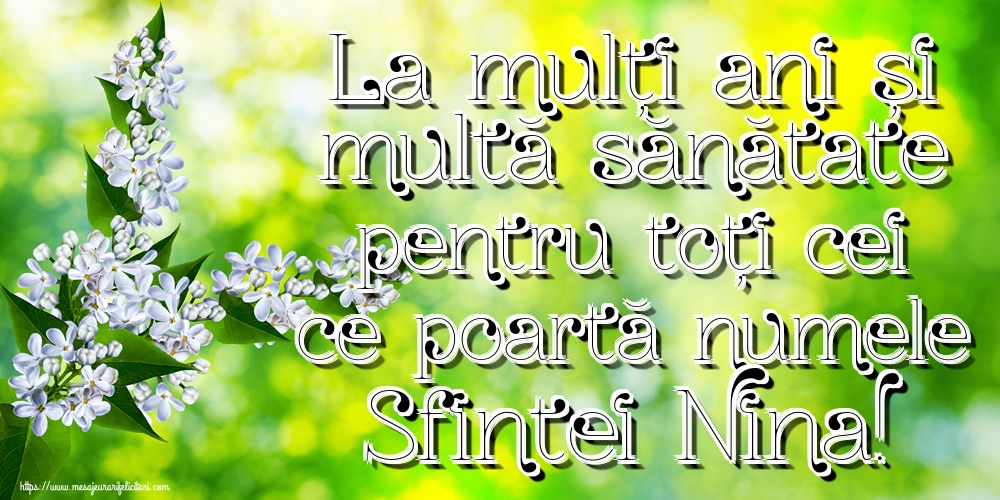 La mulți ani și multă sănătate pentru toți cei ce poartă numele Sfintei Nina!