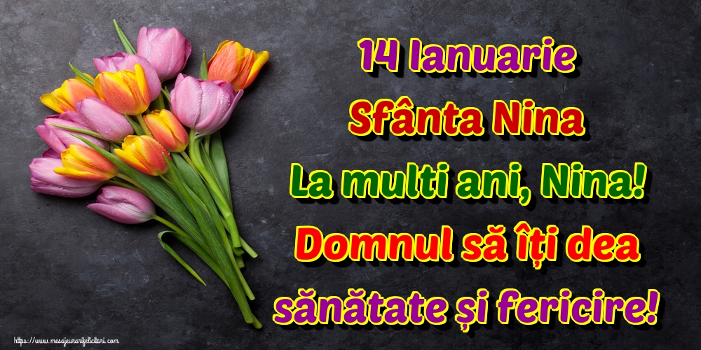 Felicitari de Sfanta Nina - 14 Ianuarie Sfânta Nina La multi ani, Nina! Domnul să îți dea sănătate și fericire! - mesajeurarifelicitari.com