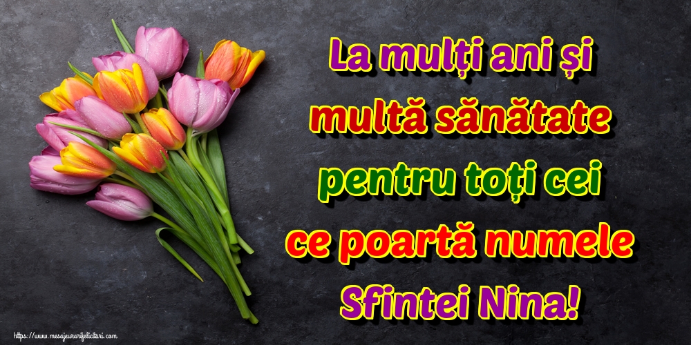 La mulți ani și multă sănătate pentru toți cei ce poartă numele Sfintei Nina!