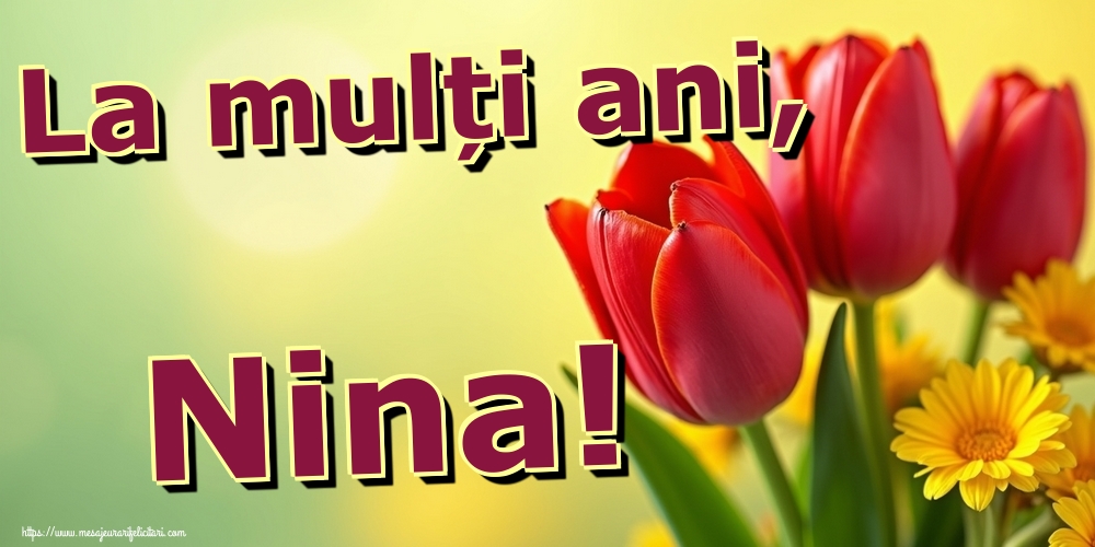 La mulți ani, Nina!