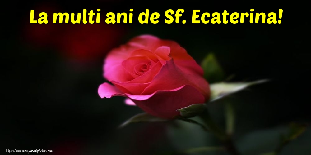 Sfanta Ecaterina La multi ani de Sf. Ecaterina!