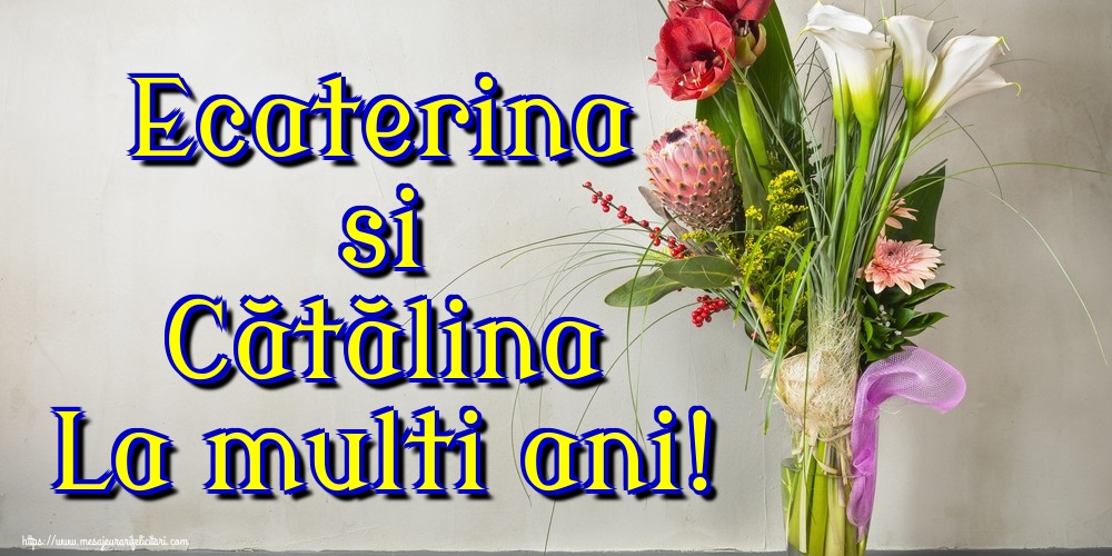 Felicitari de Sfanta Ecaterina - Ecaterina si Cătălina La multi ani! - mesajeurarifelicitari.com