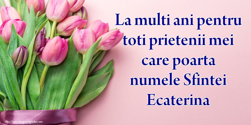 Felicitari de Sfanta Ecaterina - La multi ani pentru toti prietenii mei care poarta numele Sfintei Ecaterina - mesajeurarifelicitari.com