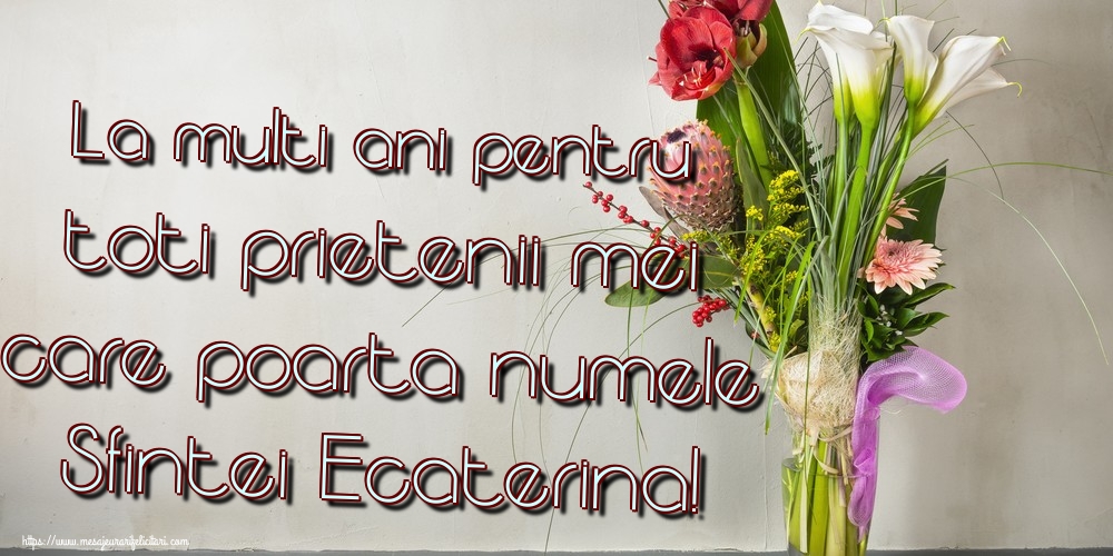 La multi ani pentru toti prietenii mei care poarta numele Sfintei Ecaterina!