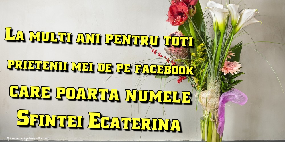 Felicitari de Sfanta Ecaterina - La multi ani pentru toti prietenii mei de pe facebook care poarta numele Sfintei Ecaterina! - mesajeurarifelicitari.com