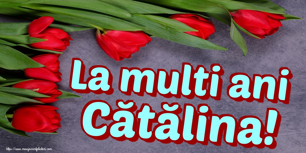 Felicitari de Sfanta Ecaterina - La multi ani Cătălina! - mesajeurarifelicitari.com