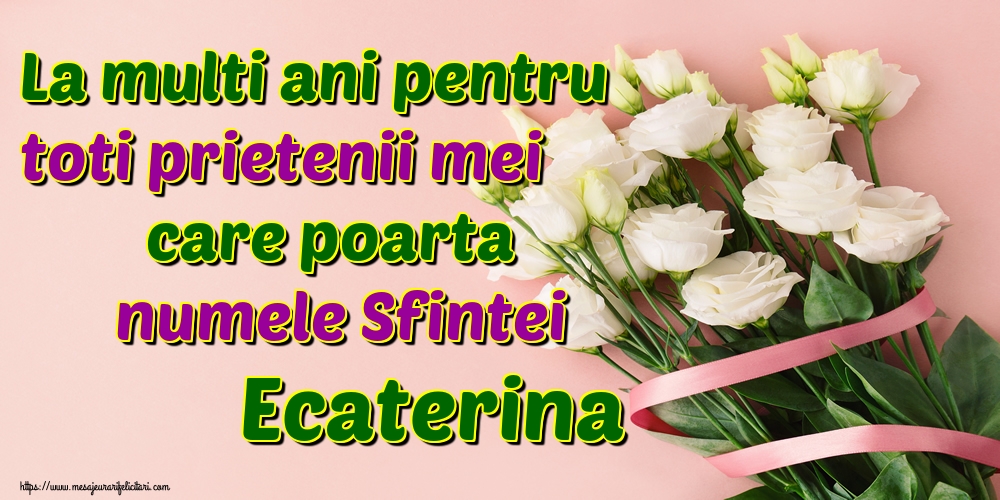 Felicitari de Sfanta Ecaterina - La multi ani pentru toti prietenii mei care poarta numele Sfintei Ecaterina - mesajeurarifelicitari.com