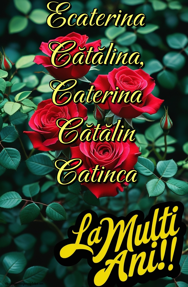 Ecaterina Cătălina, Caterina Cătălin Catinca