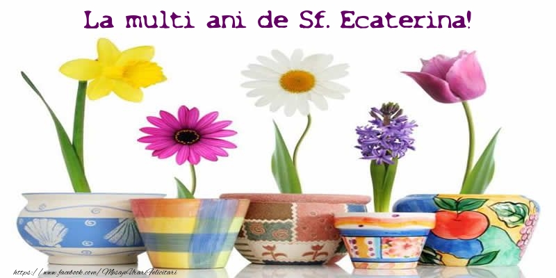 Felicitari de Sfanta Ecaterina - La multi ani de Sf. Ecaterina! - mesajeurarifelicitari.com