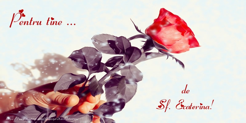 Felicitari de Sfanta Ecaterina - Pentru tine ... de Sf. Ecaterina! - mesajeurarifelicitari.com