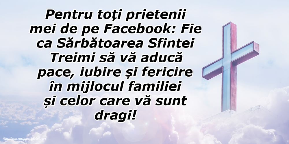 Pentru toți prietenii mei de pe Facebook