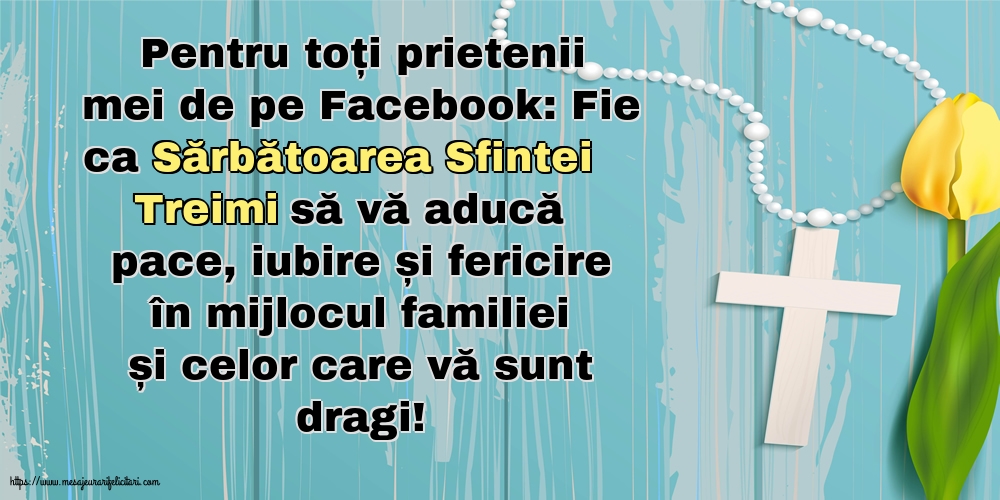 Pentru toți prietenii mei de pe Facebook