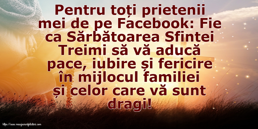 Pentru toți prietenii mei de pe Facebook