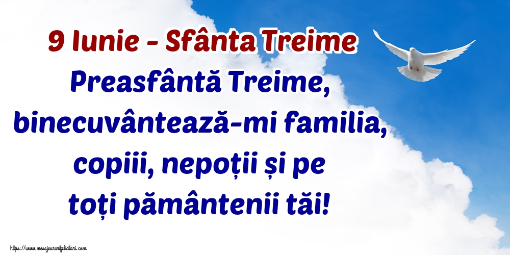 9 Iunie - Sfânta Treime Preasfântă Treime, binecuvântează-mi familia, copiii, nepoții și pe toți pământenii tăi!