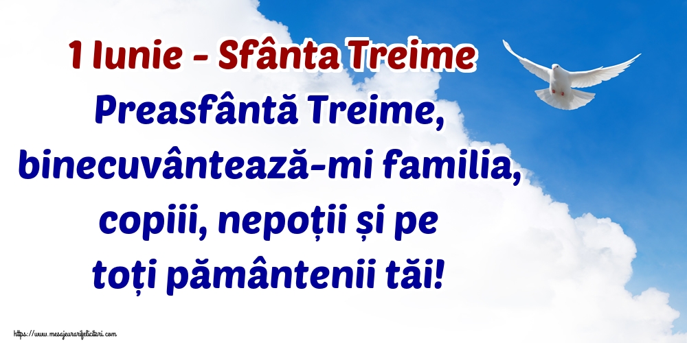 1 Iunie - Sfânta Treime Preasfântă Treime, binecuvântează-mi familia, copiii, nepoții și pe toți pământenii tăi!