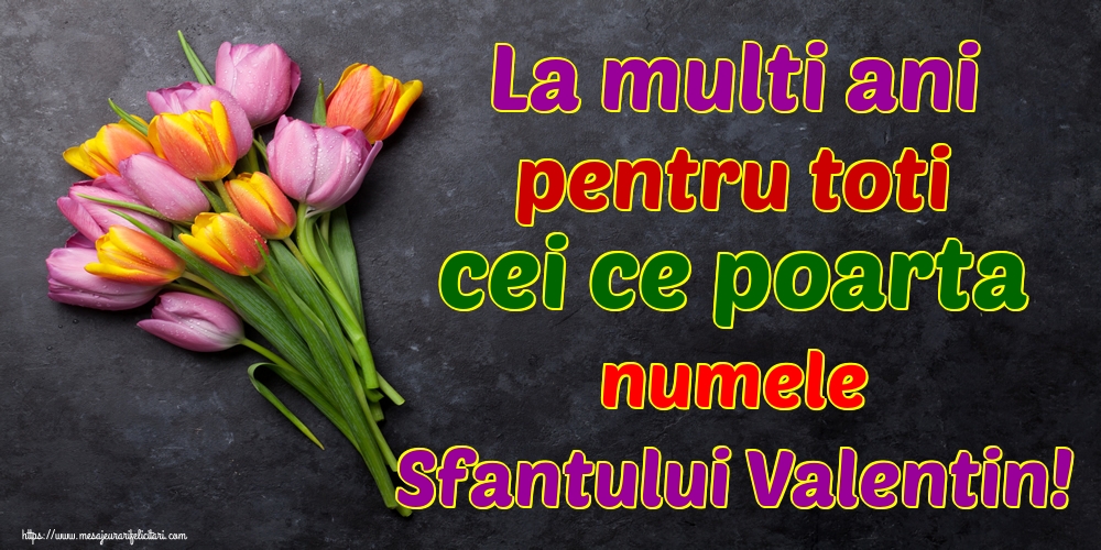 Felicitari de Sfantul Valentin - La multi ani pentru toti cei ce poarta numele Sfantului Valentin! - mesajeurarifelicitari.com